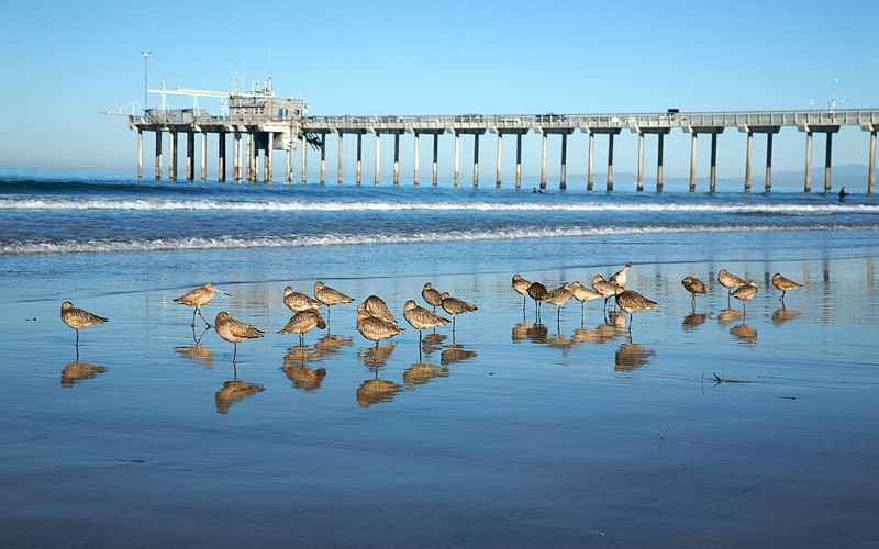 La Jolla Shores In San Diego County California