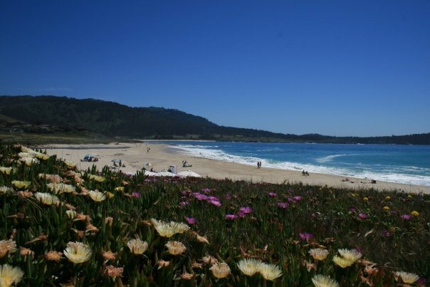 Carmelbythesea In Monterey County California