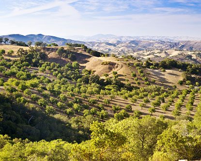 Paso Robles In San Luis Obispo County California